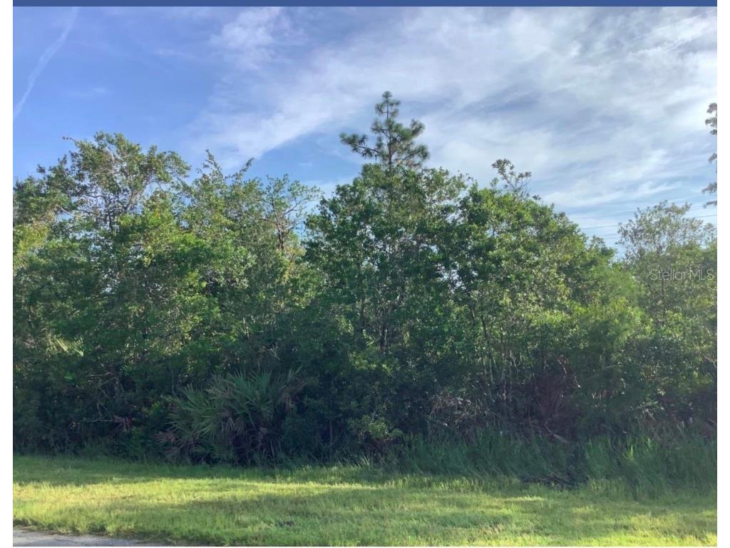 Wembley Avenue Orlando FL 32833 O6313223 image1