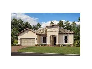  Wesley Chapel FL 33543 J973861 image1