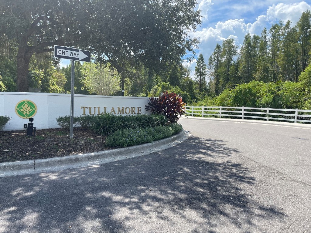  Wesley Chapel FL 33543 T3472623 image1