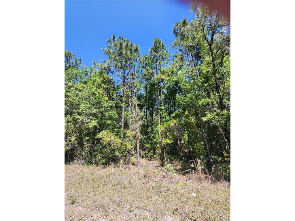 West 1/2 Of Lot 2 Block 177 Rolling Hills #5 Ocala FL 34481 O6294624 image1
