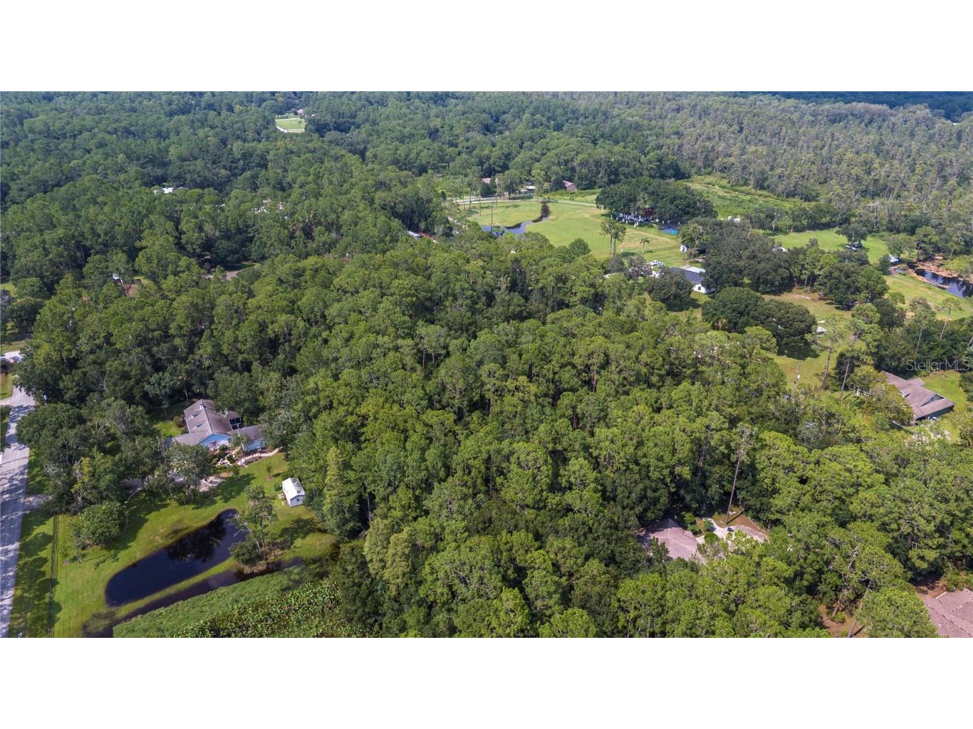 West Drive Wesley Chapel FL 33544 T3550147 image12