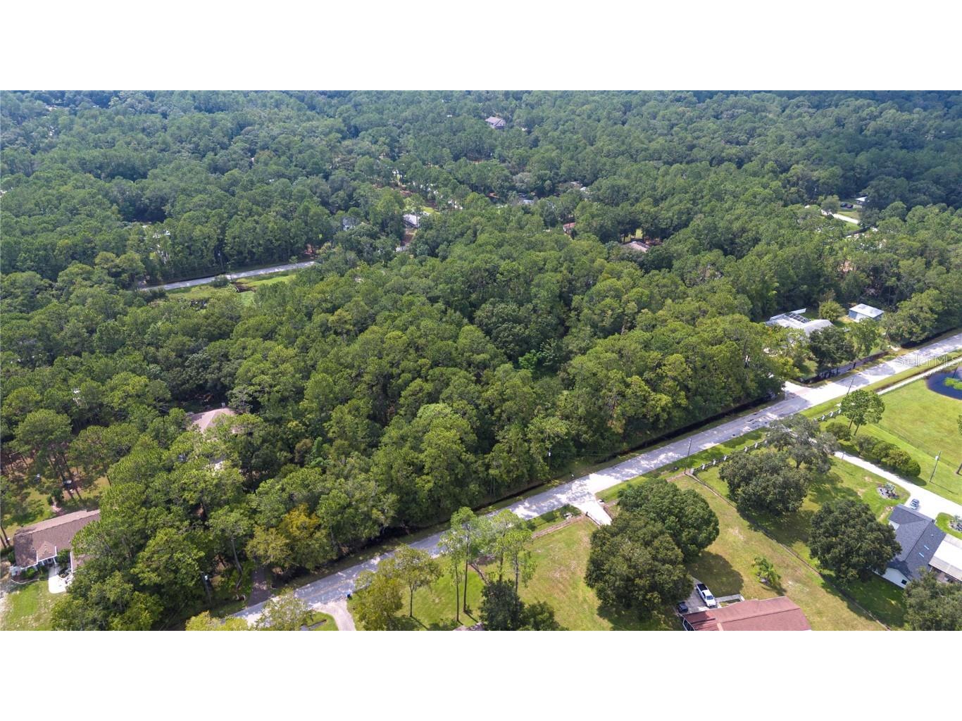 West Drive Wesley Chapel FL 33544 T3550147 image3