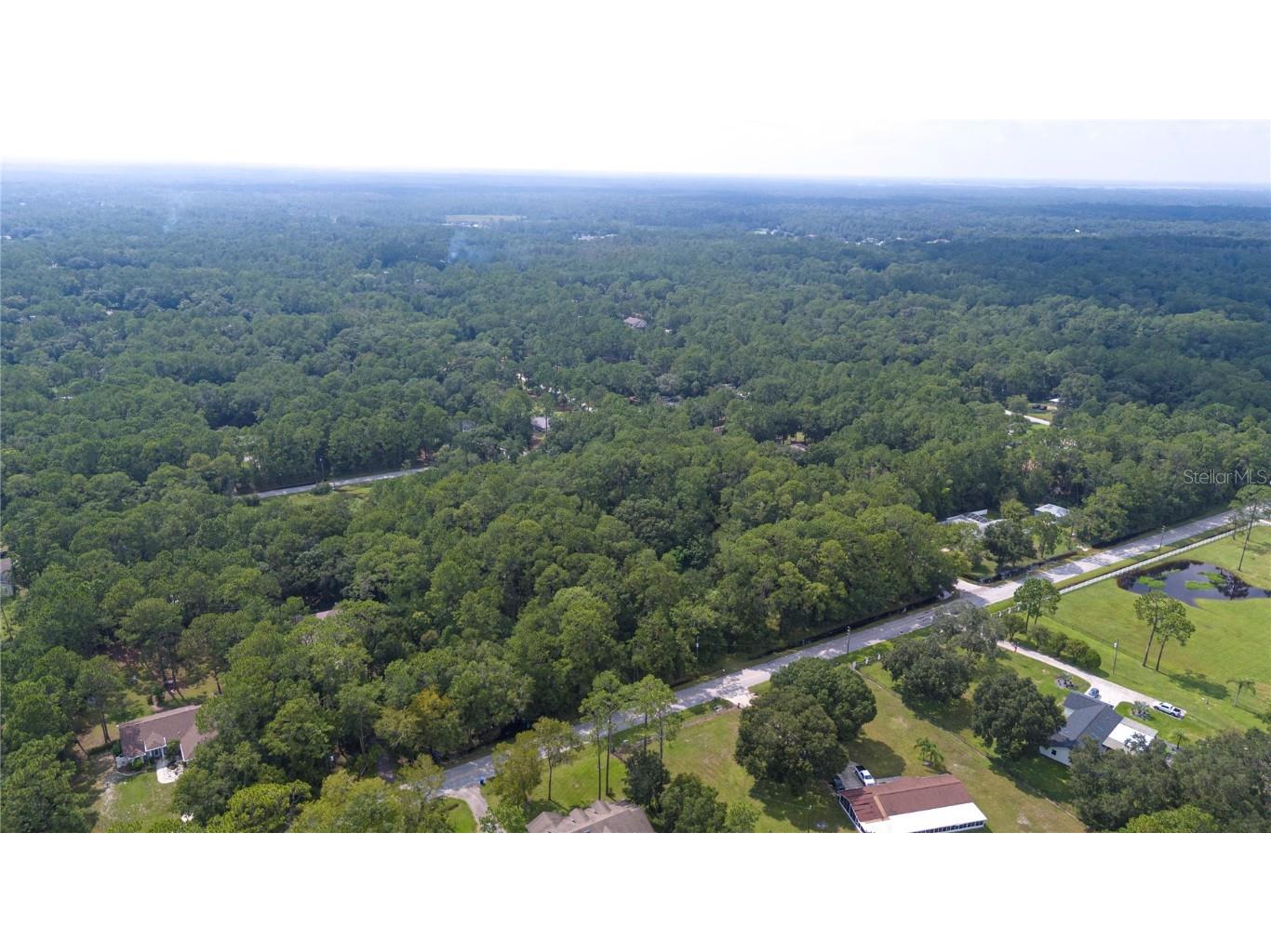 West Drive Wesley Chapel FL 33544 T3550147 image4