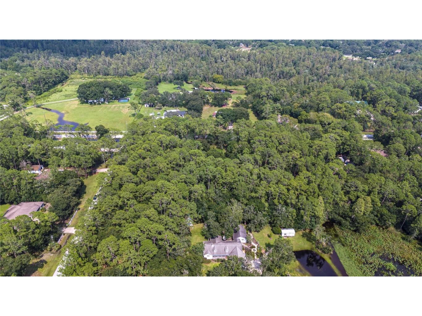 West Drive Wesley Chapel FL 33544 T3550147 image5