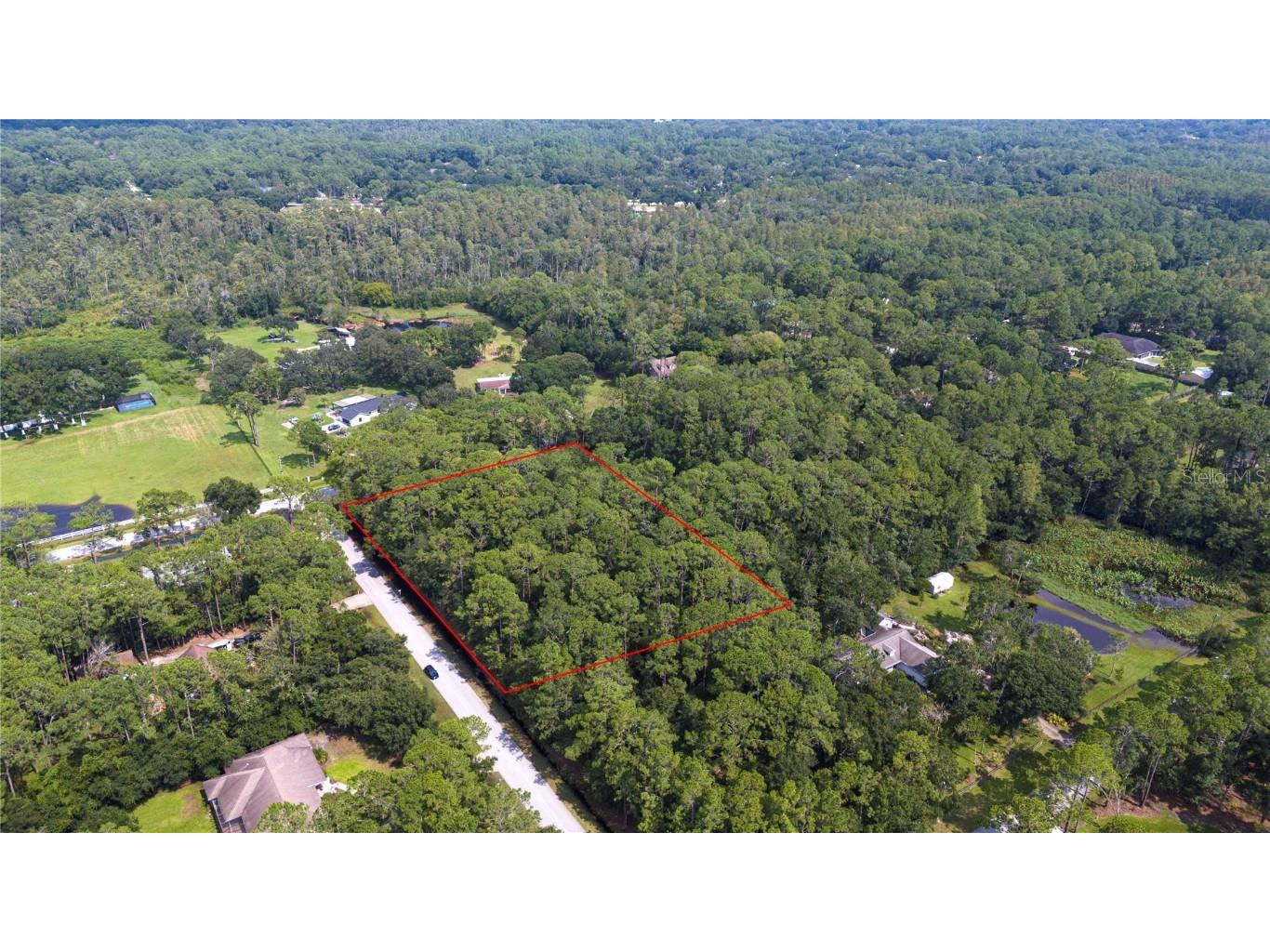 West Drive Wesley Chapel FL 33544 T3550147 image6