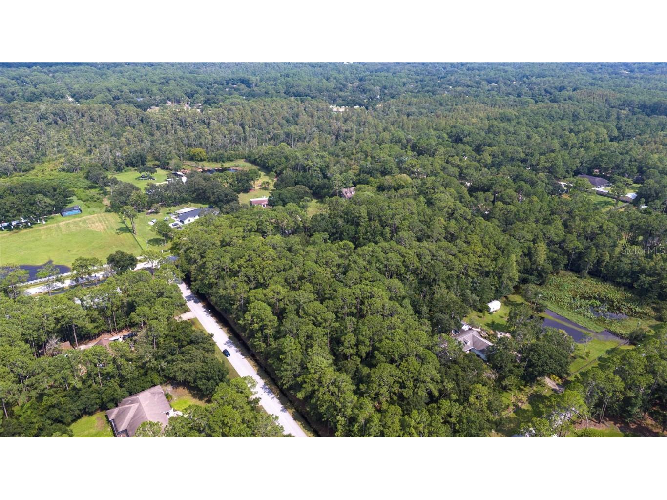 West Drive Wesley Chapel FL 33544 T3550147 image7