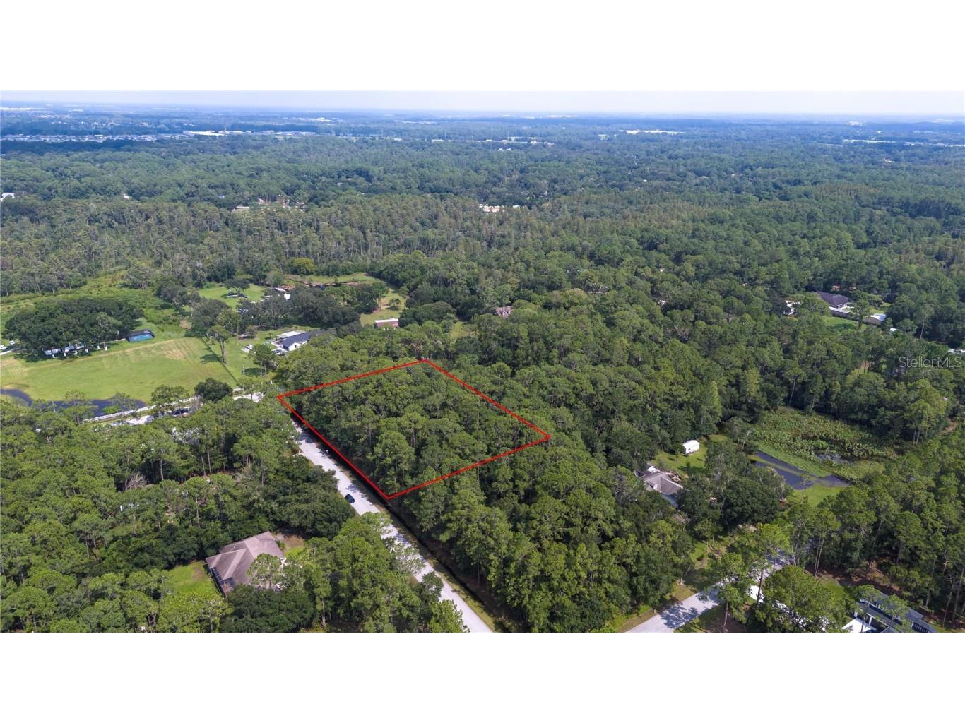 West Drive Wesley Chapel FL 33544 T3550147 image8