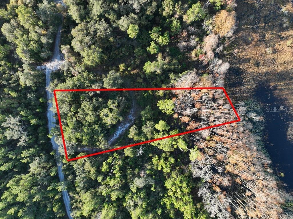 West Parkway Deland FL 32724 A4633259 image2