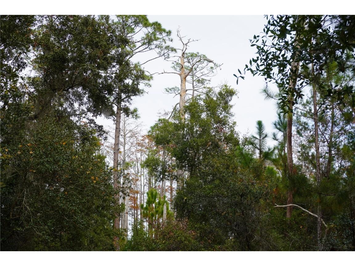 West Parkway Deland FL 32724 A4633259 image7