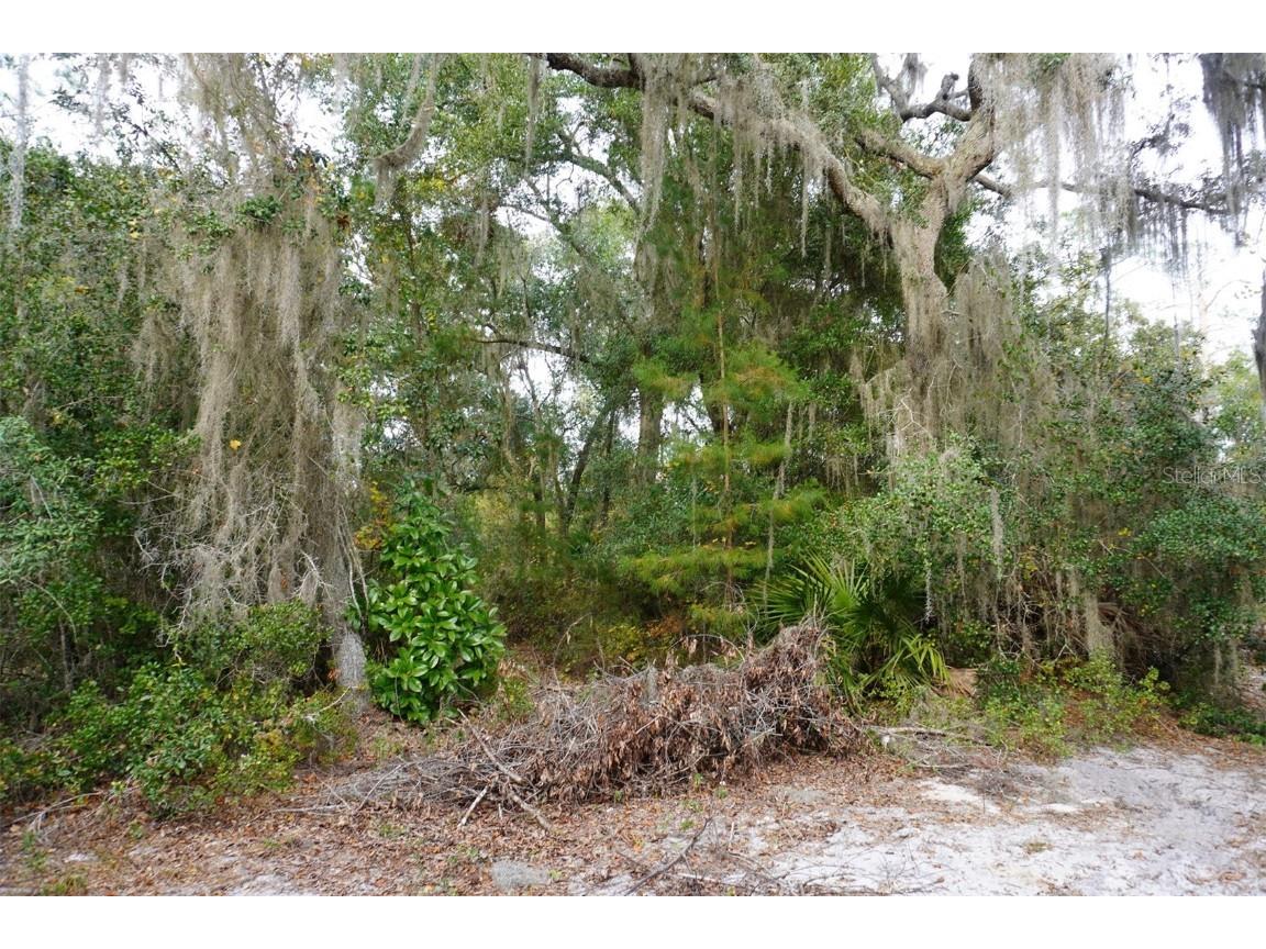 West Parkway Deland FL 32724 A4633259 image8