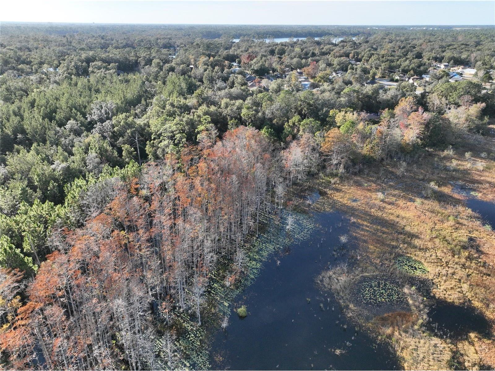 West Parkway Deland FL 32724 C7526888 image6
