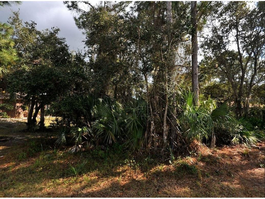 Westberry Terrace North Port FL 34286 N6138676 image1