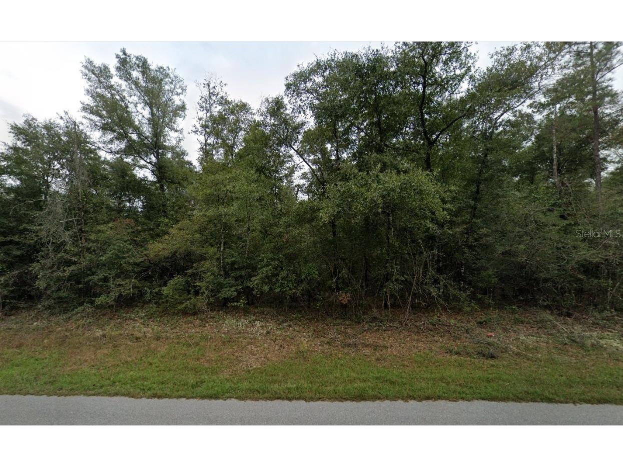 Westbrook Drive Chipley FL 32428 OK225277 image1