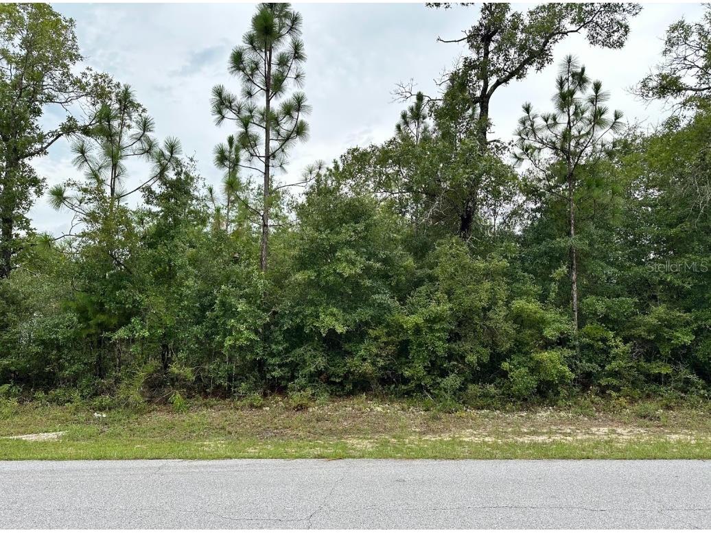 Westbrook Drive Chipley FL 32428 OM707633 image1