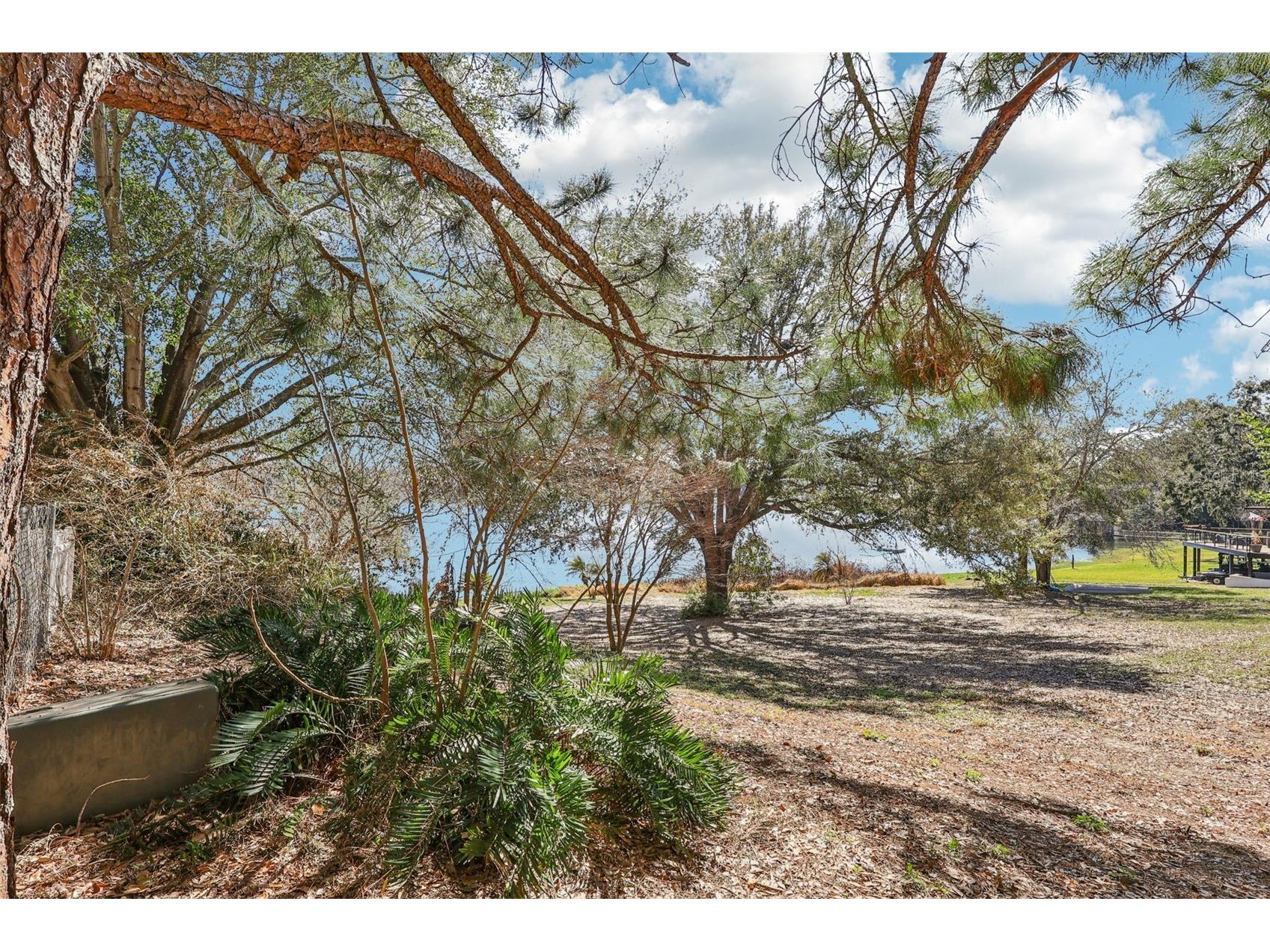 Westmoreland Avenue Eustis FL 32726 - LAKE LOUISE G5108590 image10
