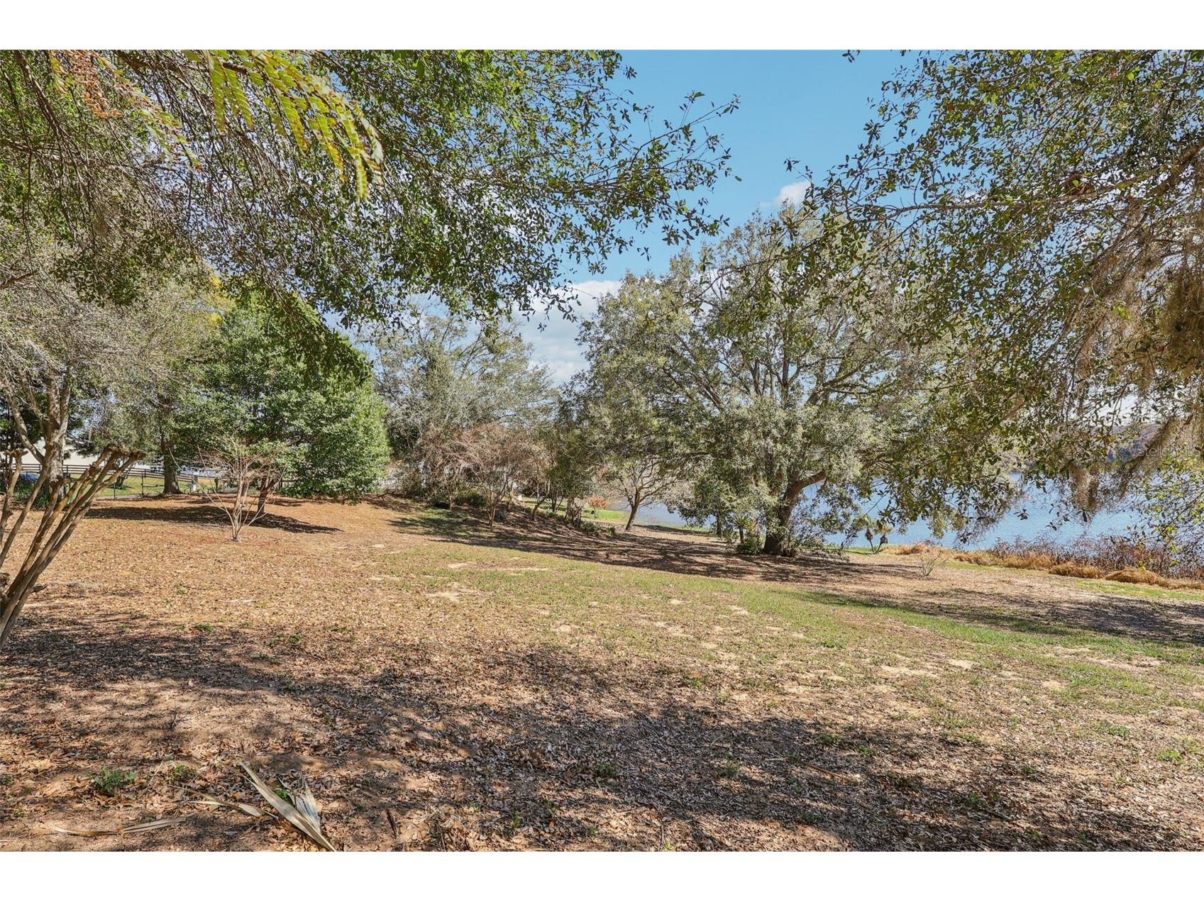 Westmoreland Avenue Eustis FL 32726 - LAKE LOUISE G5108590 image12