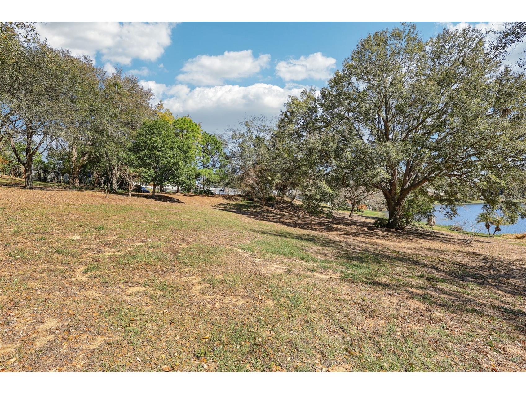 Westmoreland Avenue Eustis FL 32726 - LAKE LOUISE G5108590 image13