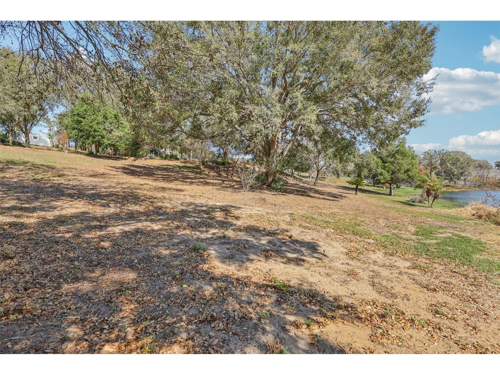 Westmoreland Avenue Eustis FL 32726 - LAKE LOUISE G5108590 image14