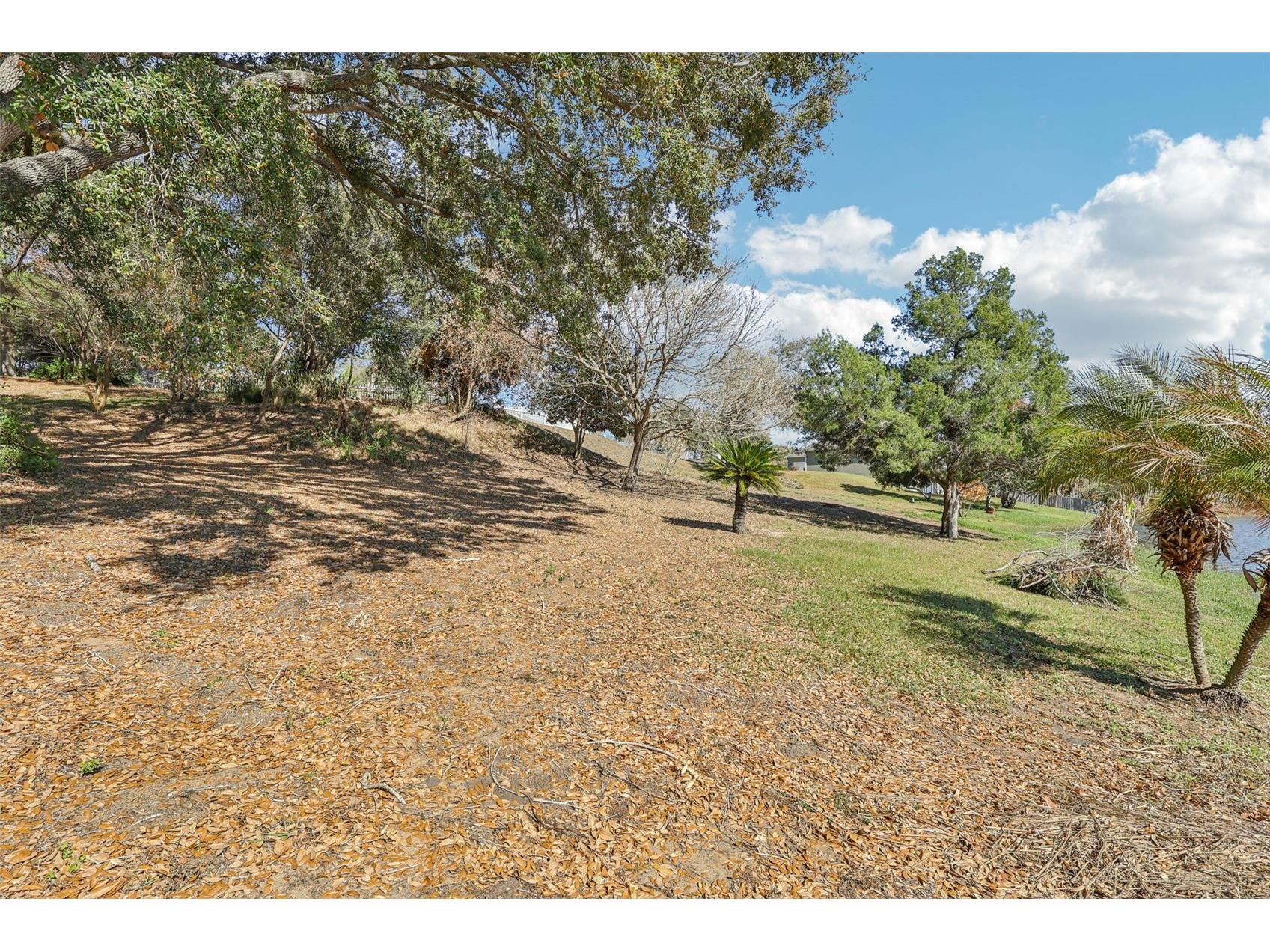Westmoreland Avenue Eustis FL 32726 - LAKE LOUISE G5108590 image16