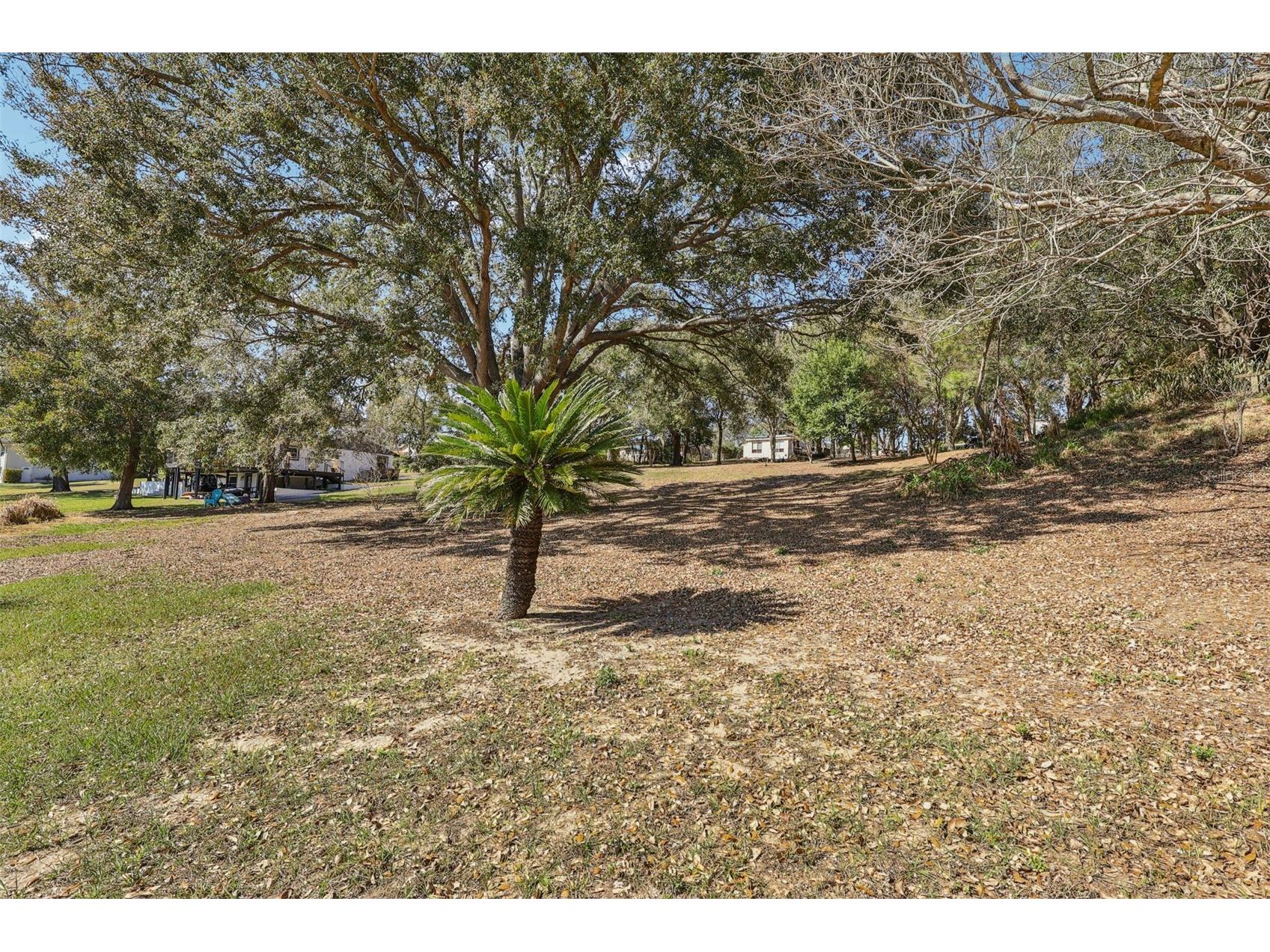 Westmoreland Avenue Eustis FL 32726 - LAKE LOUISE G5108590 image17