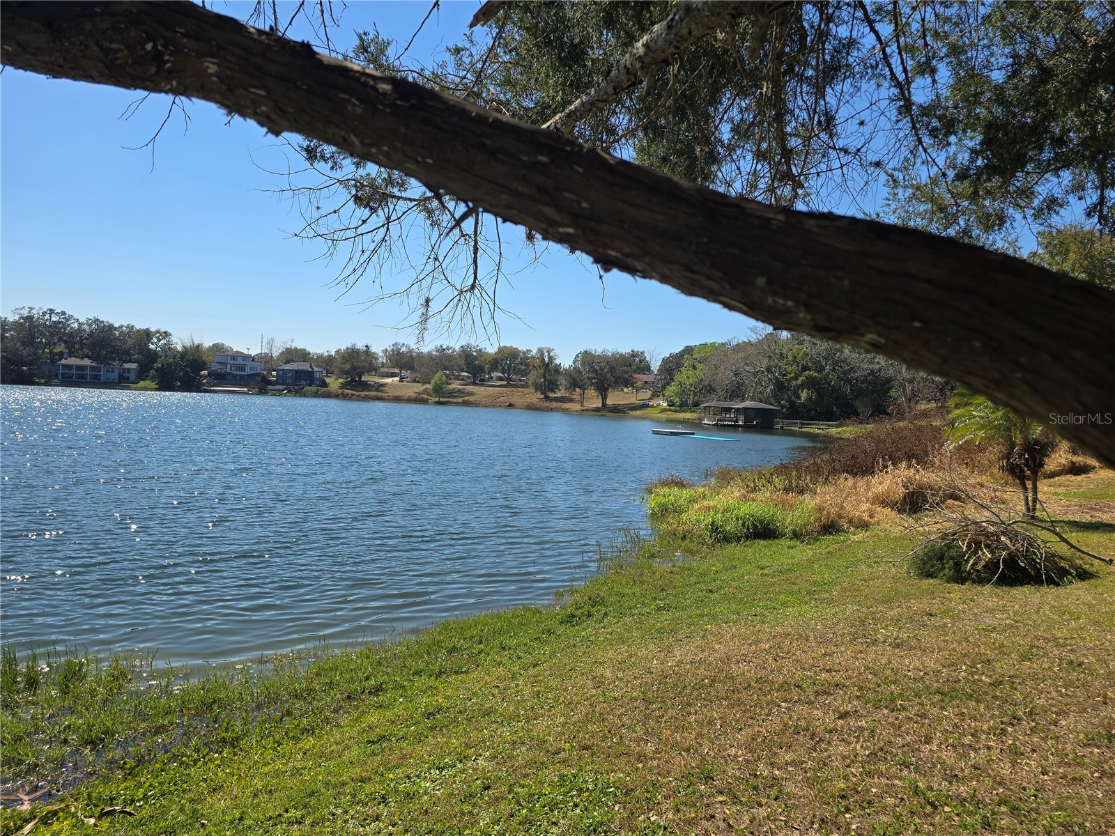 Westmoreland Avenue Eustis FL 32726 - LAKE LOUISE G5108590 image3