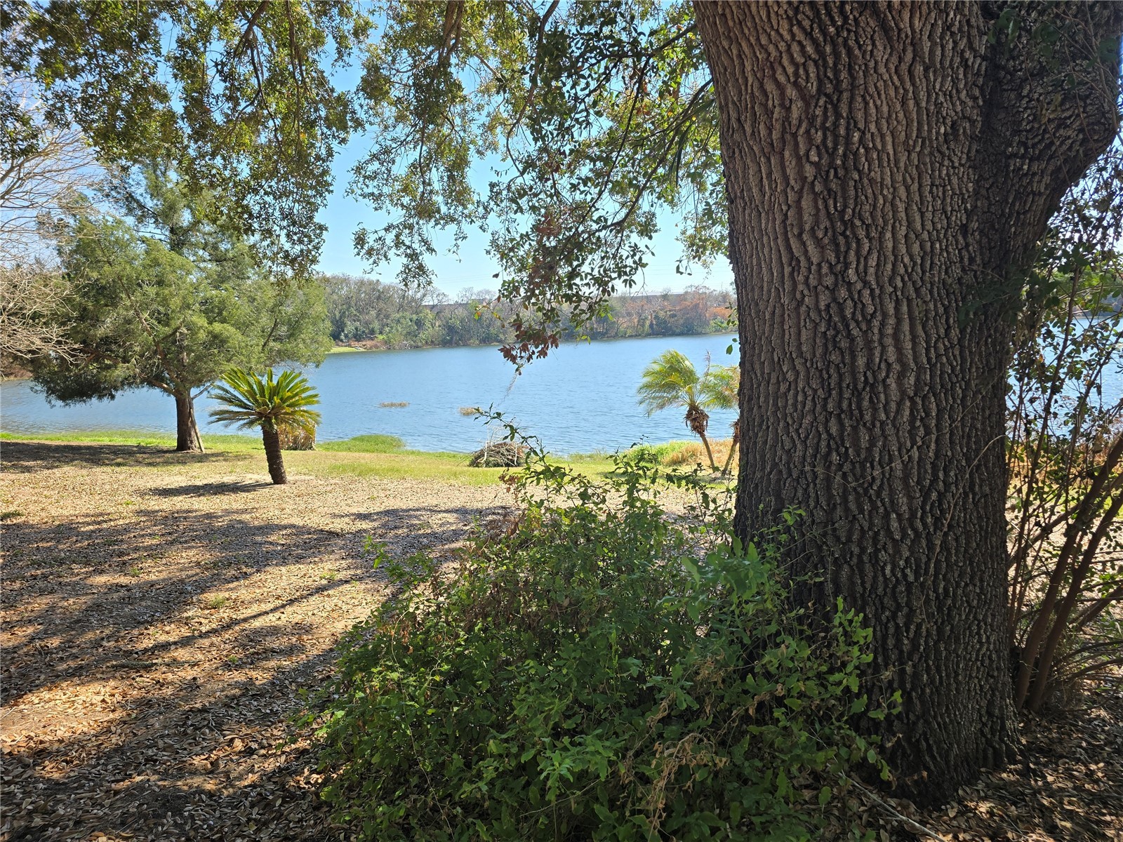 Westmoreland Avenue Eustis FL 32726 - LAKE LOUISE G5108590 image4