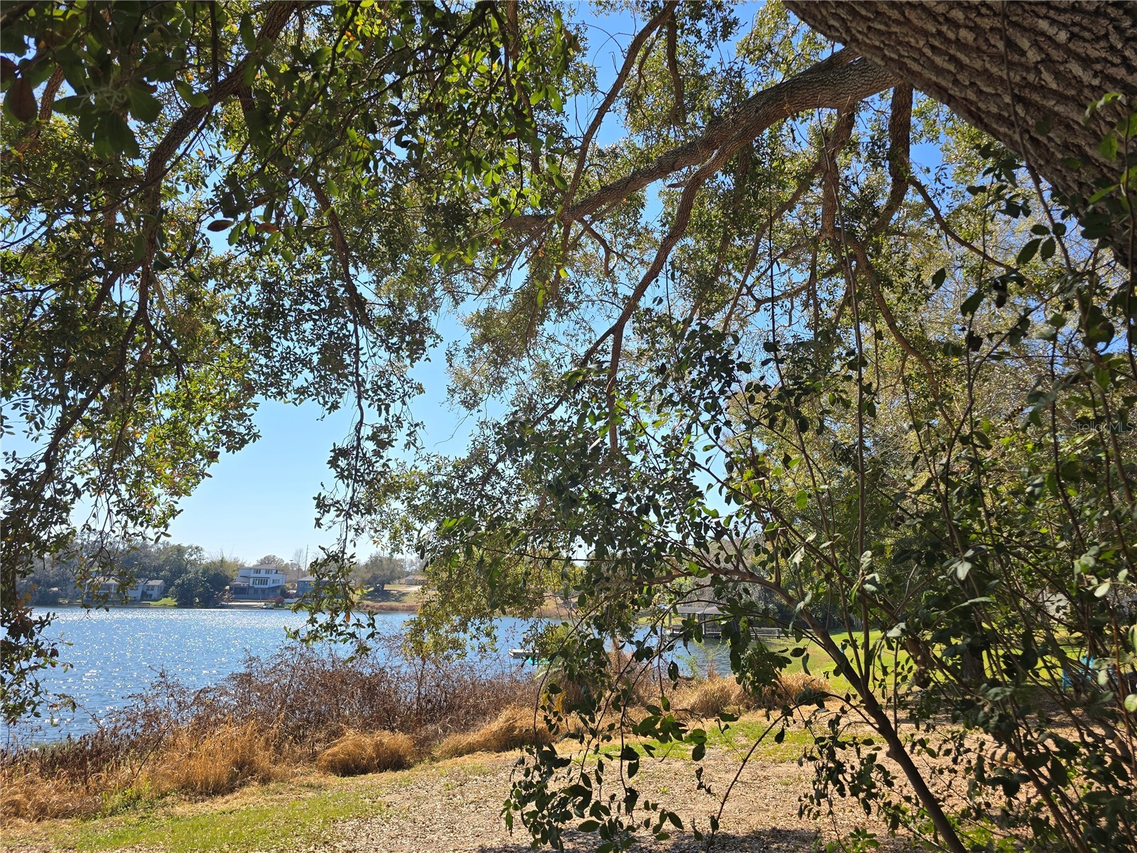 Westmoreland Avenue Eustis FL 32726 - LAKE LOUISE G5108590 image5