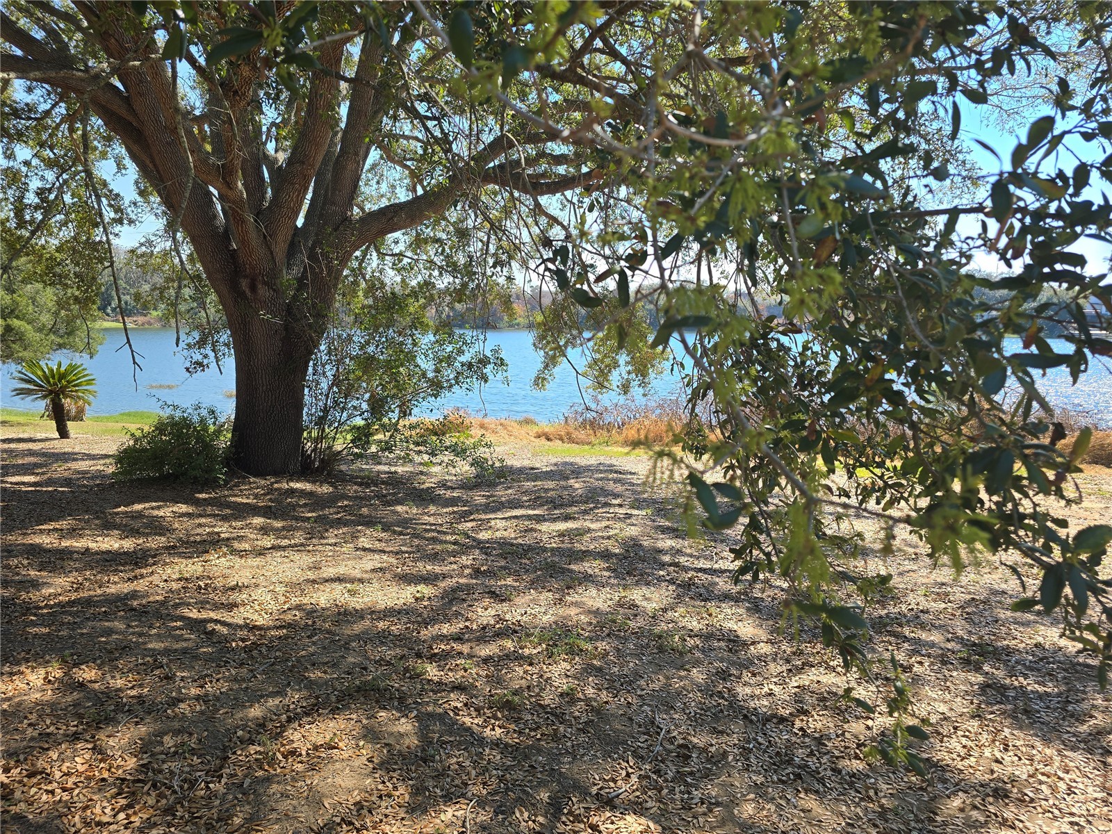 Westmoreland Avenue Eustis FL 32726 - LAKE LOUISE G5108590 image6