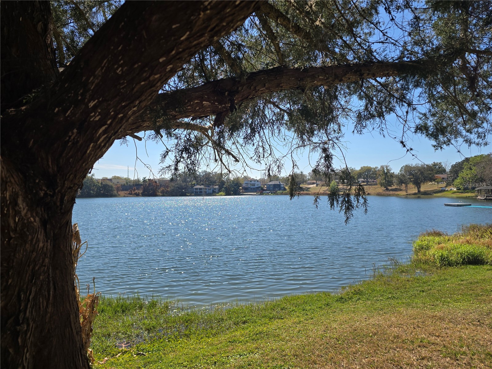 Westmoreland Avenue Eustis FL 32726 - LAKE LOUISE G5108590 image7