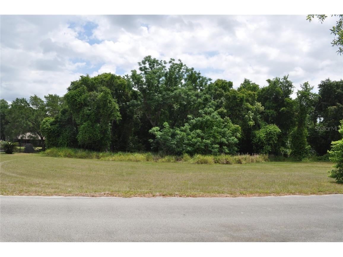 Weston Road Leesburg FL 34748 - LAKE GRIFFIN G5056351 image1