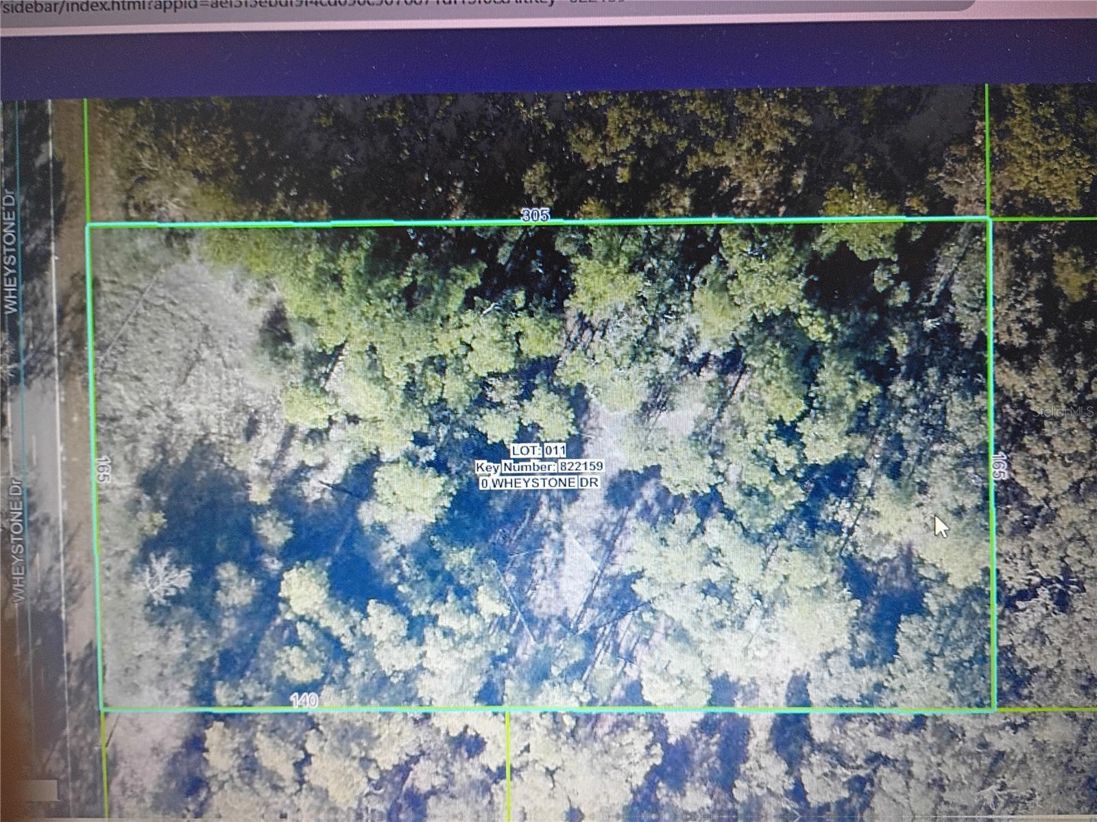 Wheystone Drive Webster FL 33597 TB8471497 image1