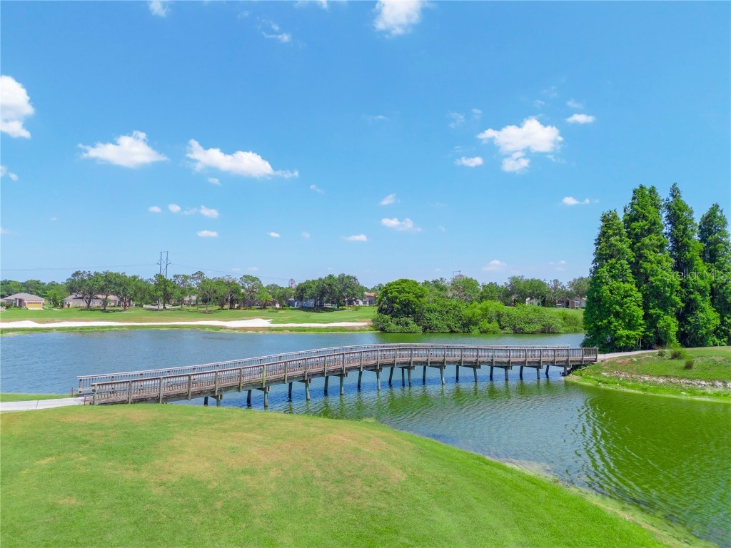 Whisper Woods Drive Lakeland FL 33813 P4936011 image7