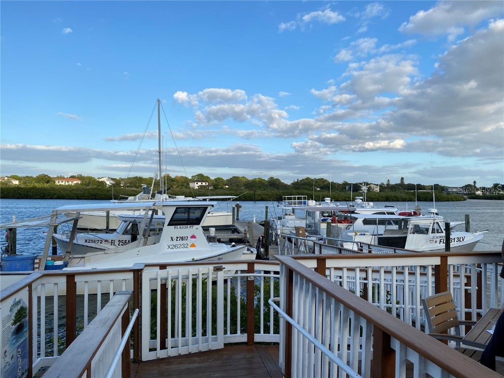 Whispering Pines Drive Indian Shores FL 33785 - GULF OF MEXICO U8142032 image16