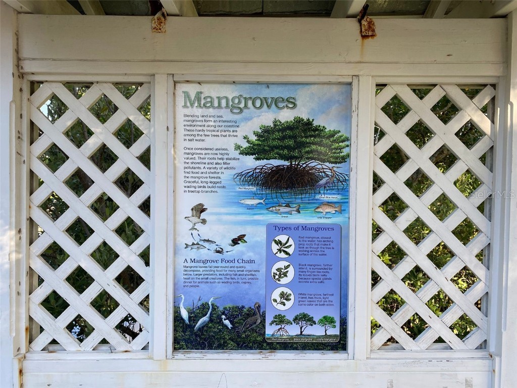 Whispering Pines Drive Indian Shores FL 33785 - GULF OF MEXICO U8142032 image36