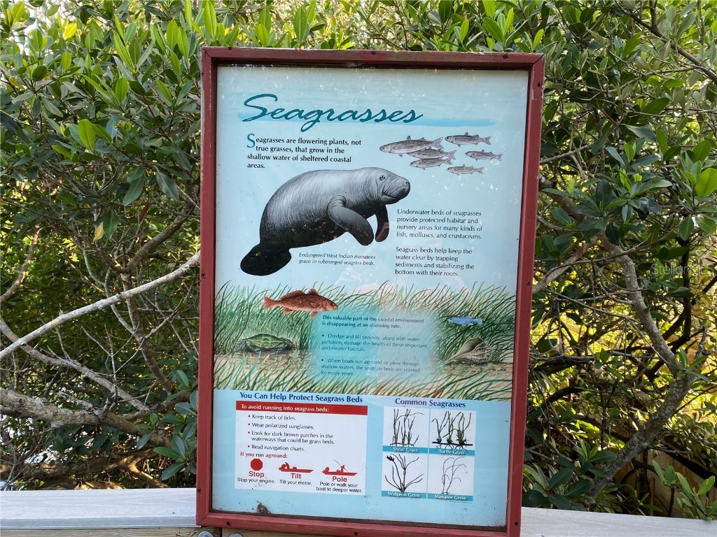 Whispering Pines Drive Indian Shores FL 33785 - GULF OF MEXICO U8142032 image60