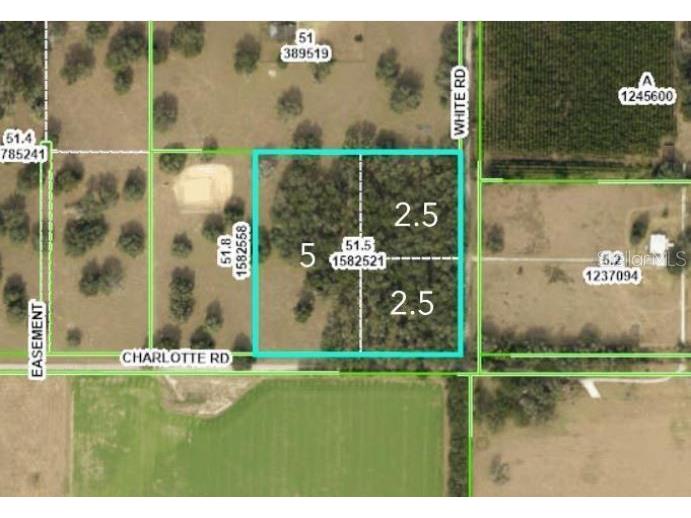 White Road Brooksville FL 34602 W7866946 image1