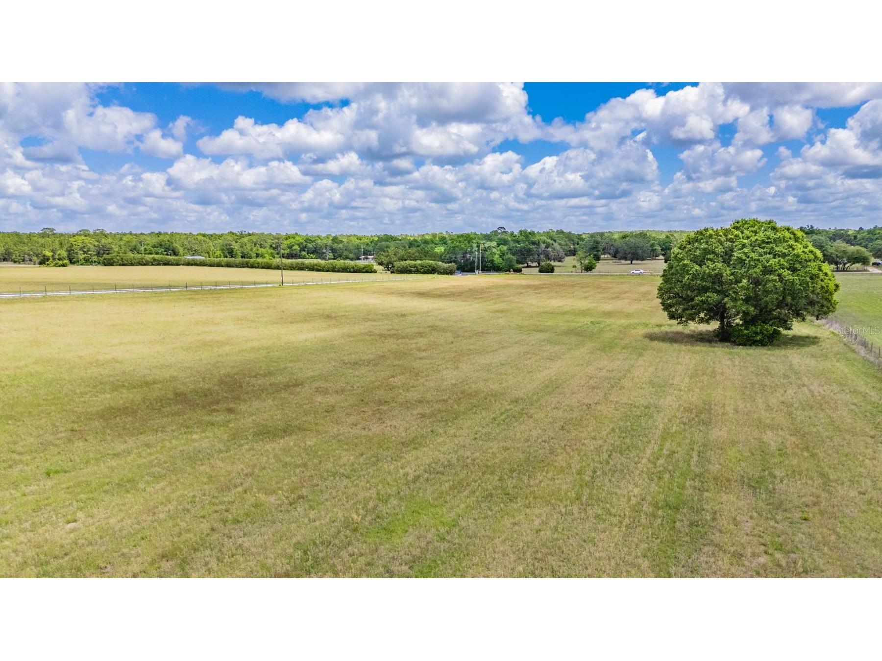 White Road Brooksville FL 34602 TB8505046 image16