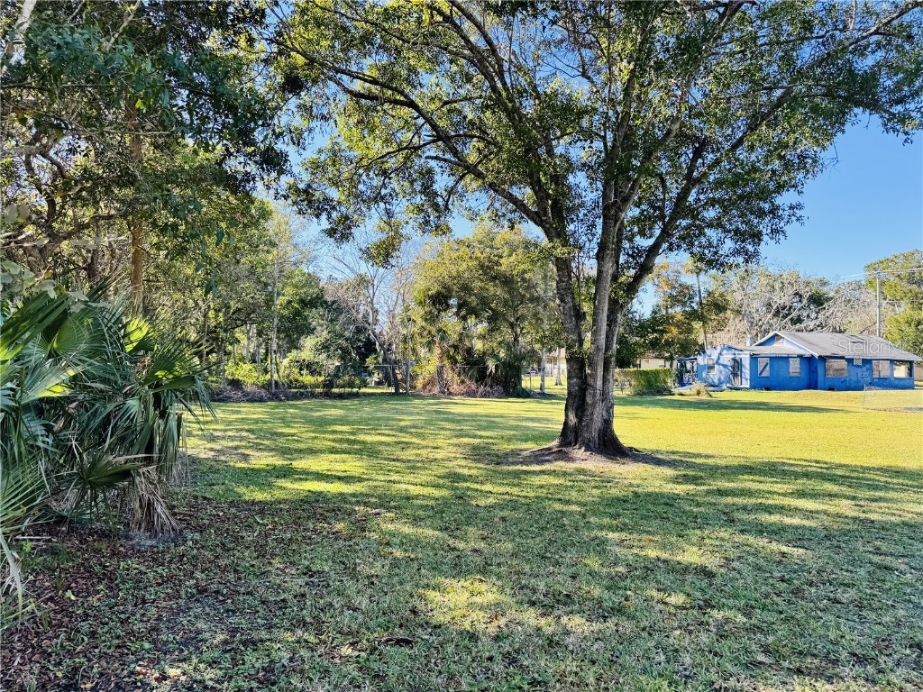 Whitehall Street Daytona Beach FL 32114 O6366605 image6