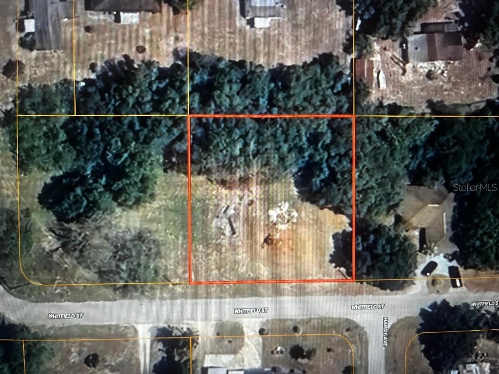 Whitfield Street Mulberry FL 33860 OM708571 image1