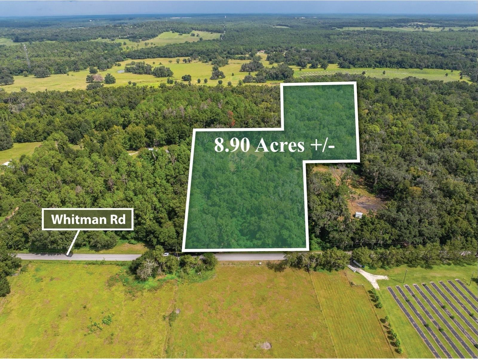 Whitman Road Brooksville FL 34601 T3552880 image1