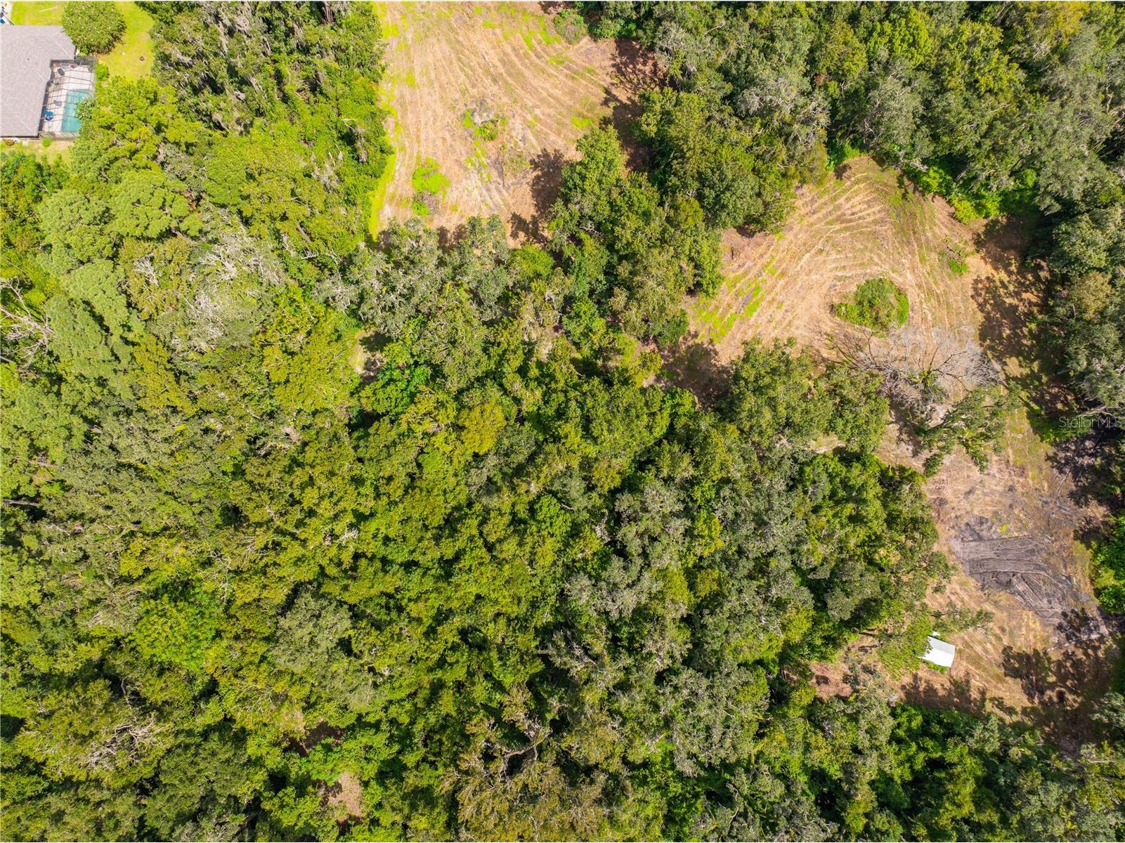 Whitman Road Brooksville FL 34601 T3552880 image12