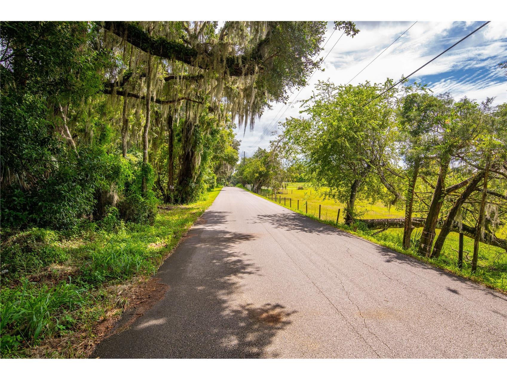 Whitman Road Brooksville FL 34601 T3552880 image13