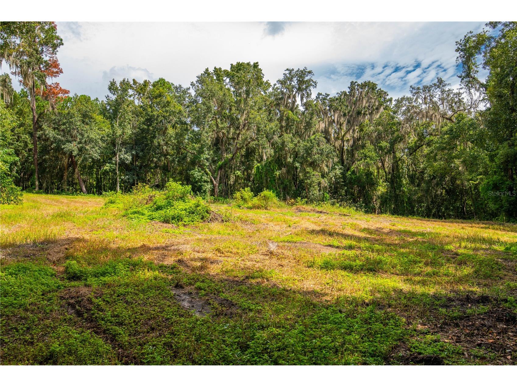 Whitman Road Brooksville FL 34601 T3552880 image16