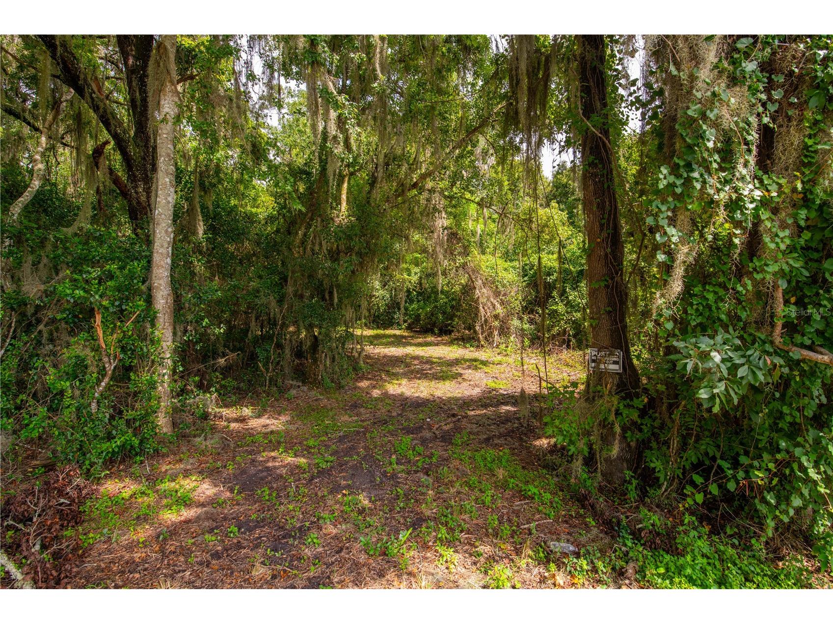 Whitman Road Brooksville FL 34601 T3552880 image17