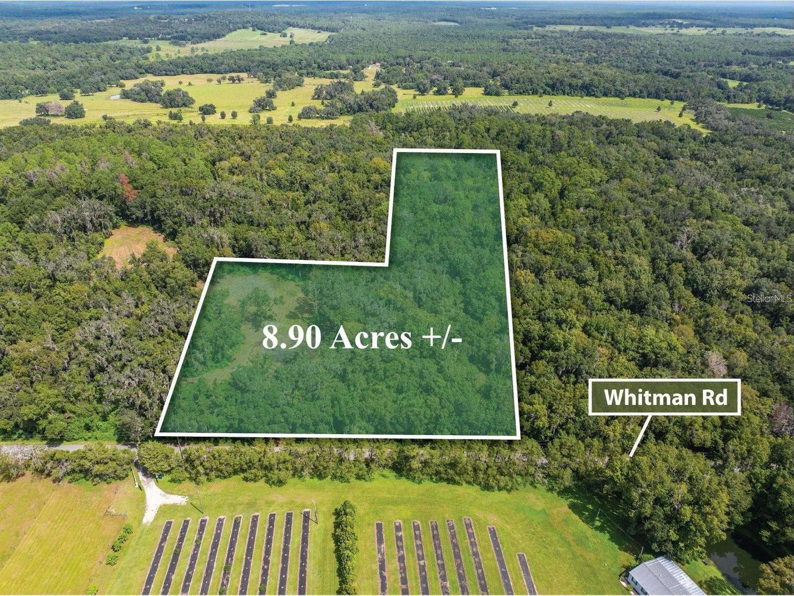 Whitman Road Brooksville FL 34601 T3552880 image18