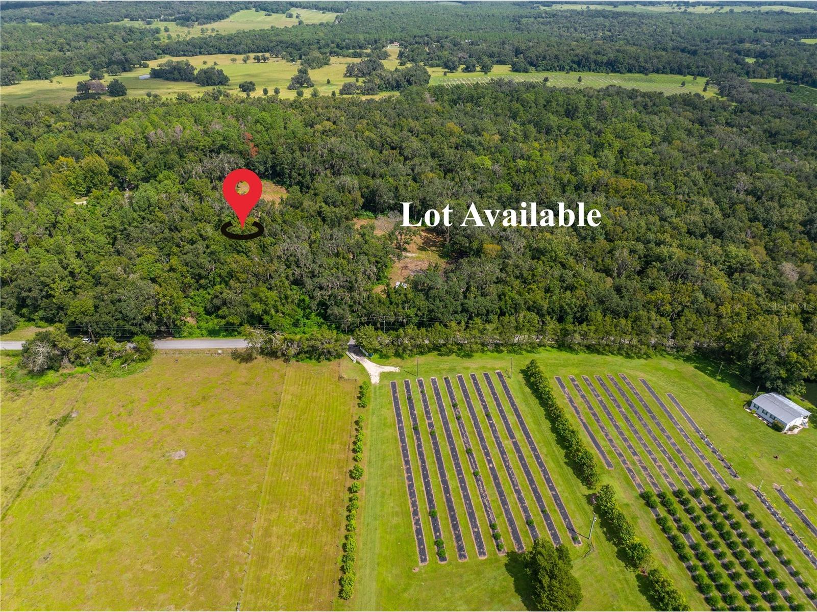 Whitman Road Brooksville FL 34601 T3552880 image2