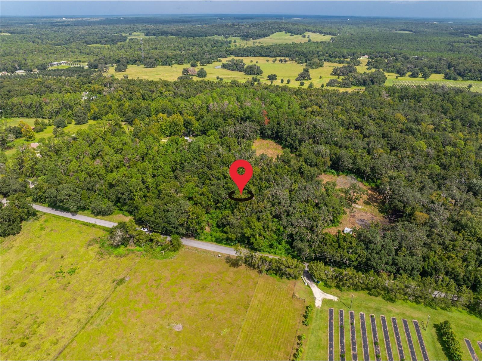 Whitman Road Brooksville FL 34601 T3552880 image3