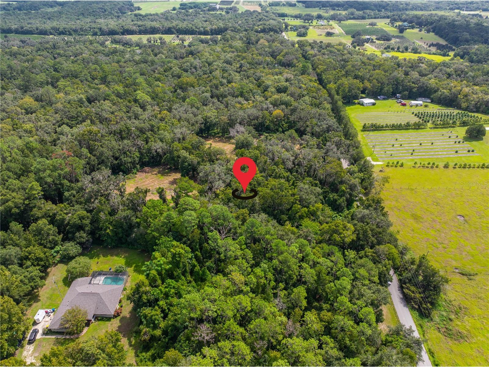 Whitman Road Brooksville FL 34601 T3552880 image4