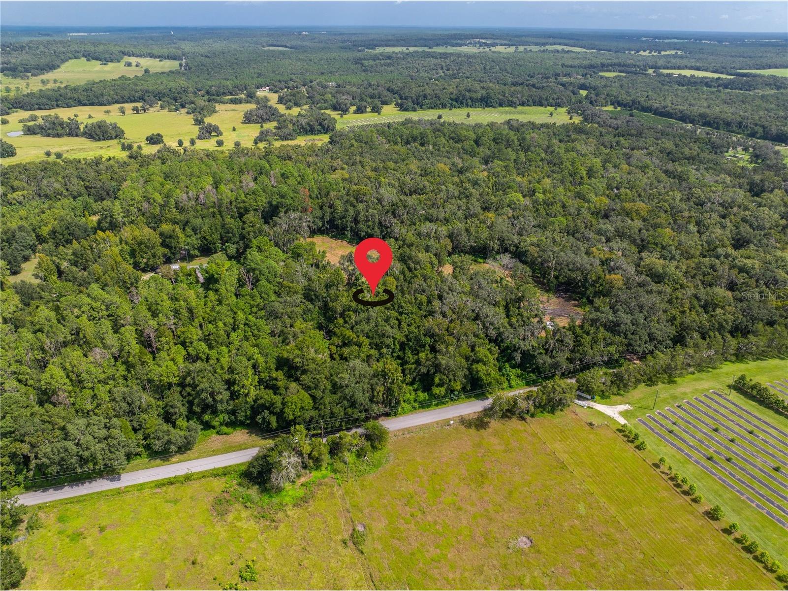 Whitman Road Brooksville FL 34601 T3552880 image5