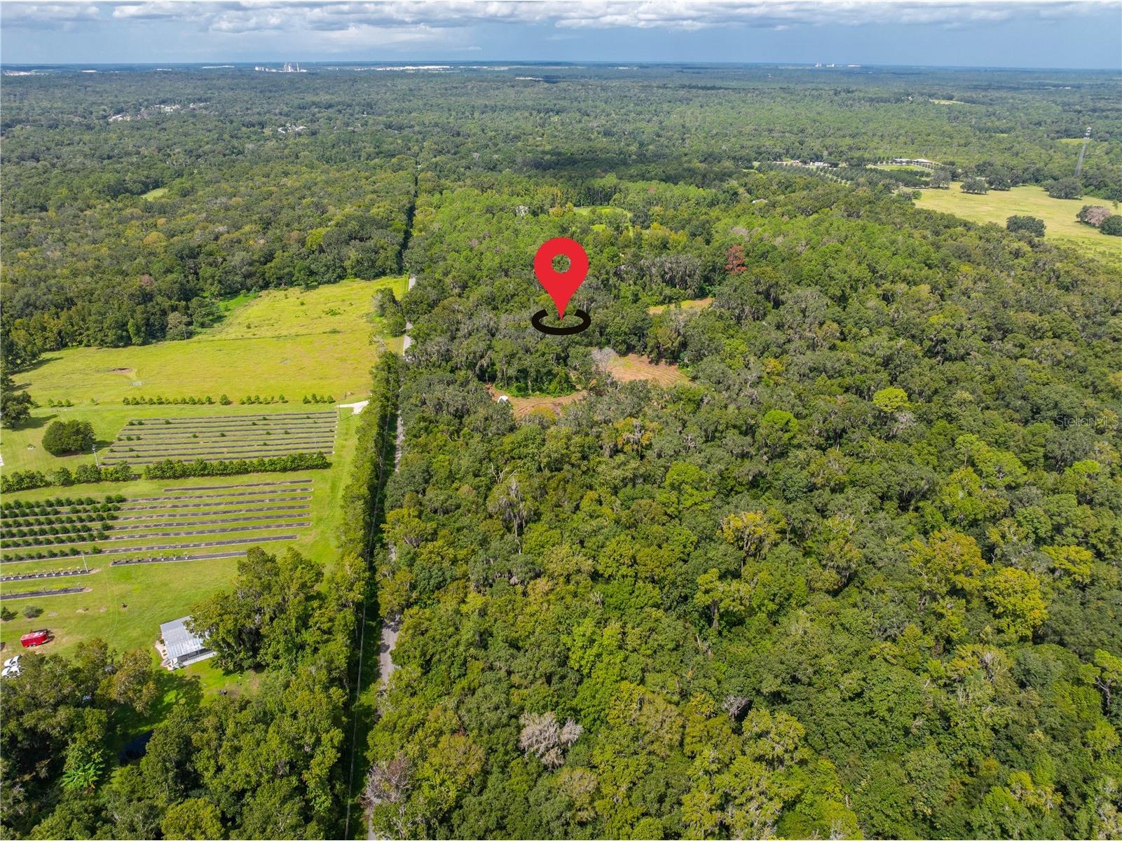 Whitman Road Brooksville FL 34601 T3552880 image6